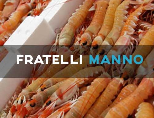 FRATELLI MANNO