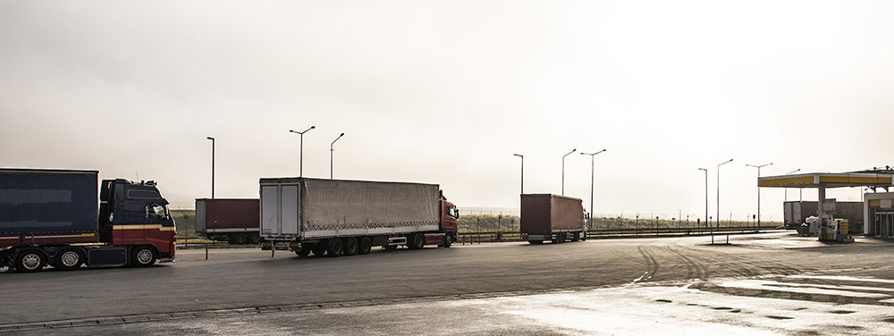 camion truck temperature monitoring